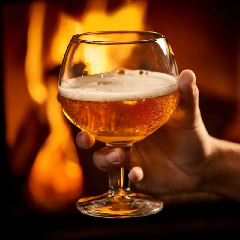 Xenos Glazensets|Bierglazen-Bierglazen speciaal - 60 cl - set van 4
