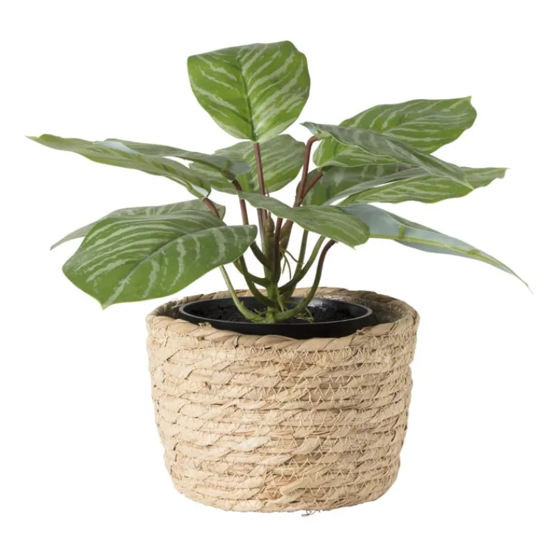 Xenos Bloempotten-Bloempot Aaron - ø15x11 cm
