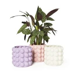 Xenos Bloempotten-Bloempot bubbel - wit - ø15x15 cm
