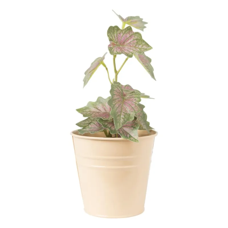 Xenos Bloempotten-Bloempot peach - ø10x9.5 cm