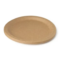 Xenos Festivals|Wegwerpservies-Bord kraftpapier - 10 stuks - 23,5 cm