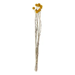 Xenos Kunstbloemen-Craspedia geel - 40-50 cm