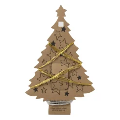 Xenos Kerstverlichting|Kerstboom Verlichting-Draadverlichting - warm wit licht - 20 led lampjes