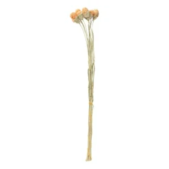 Xenos Kerstcadeaus|Kunstbloemen-Droogbloemen - diverse varianten - 38 cm