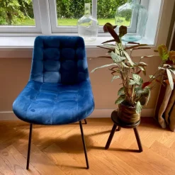 Xenos Eetkamerstoelen-Eetkamerstoel velvet - donkerblauw - 79x50x44 cm