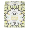 Xenos Thee-Fine Flavours groene thee - lemon ginger - 10 zakjes
