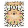 Xenos Thee-Fine flavours vruchten thee - tropical fruit - 10 zakjes