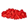 Xenos Knutselspullen-Foam roosjes rood - set van 100