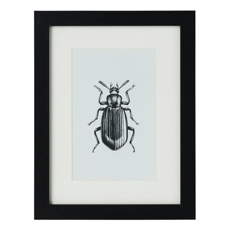 Xenos Fotolijsten-Fotolijst met passe partout - zwart - 10x15 cm