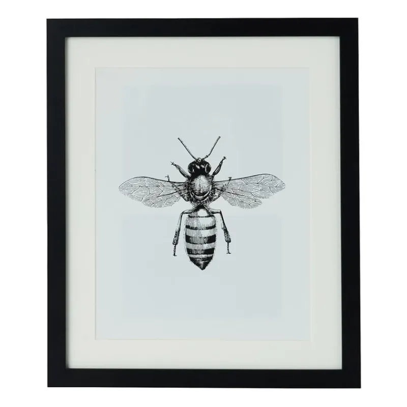 Xenos Fotolijsten-Fotolijst met passe partout - zwart - 20x25 cm