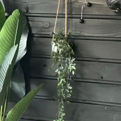 Xenos Kunstplanten-Hangplant - 65 cm