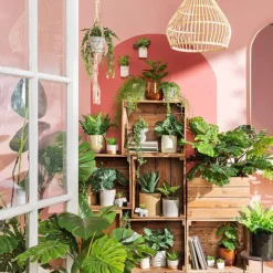 Xenos Kunstplanten-Hangplantje in potje - spits blad