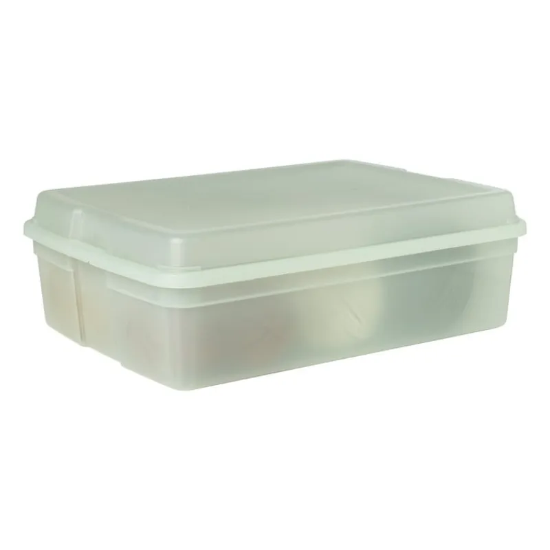 Xenos Opbergboxen-Iris clearbox - 13 liter - groen