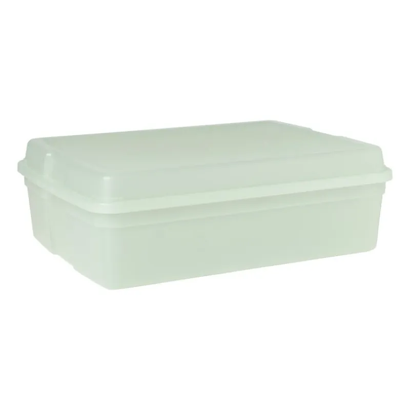 Xenos Opbergboxen-Iris clearbox - 13 liter - groen