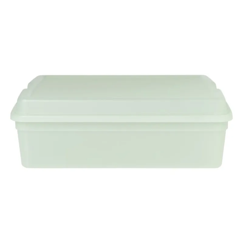 Xenos Opbergboxen-Iris clearbox - 13 liter - groen