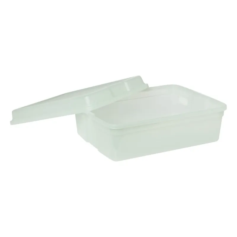 Xenos Opbergboxen-Iris clearbox - 10 liter - groen