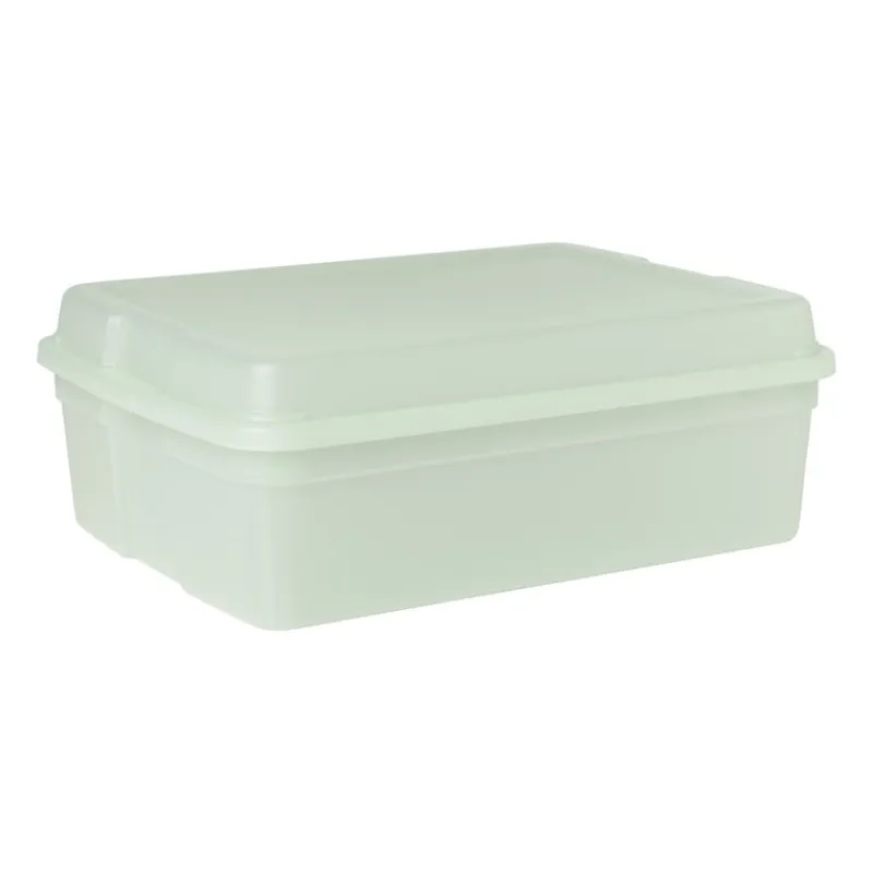 Xenos Opbergboxen-Iris clearbox - 10 liter - groen