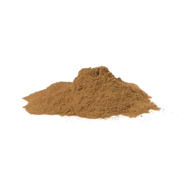 Xenos Kruiden En Specerijen-Kaneel gemalen - 55 gram