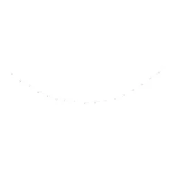 Xenos Kerstverlichting|Kerstboom Verlichting-Kerst lichtslinger met 20 lampjes - multikleur - 1.9 meter