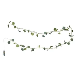 Xenos Kerstverlichting|Kerstboom Verlichting-Kerst lichtslinger met eucalyptus - groen - 2 meter