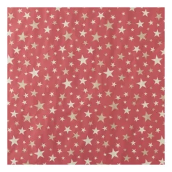 Xenos Kerst Inpakken-Kerstpapier kraft - diverse varianten - 200x70 cm