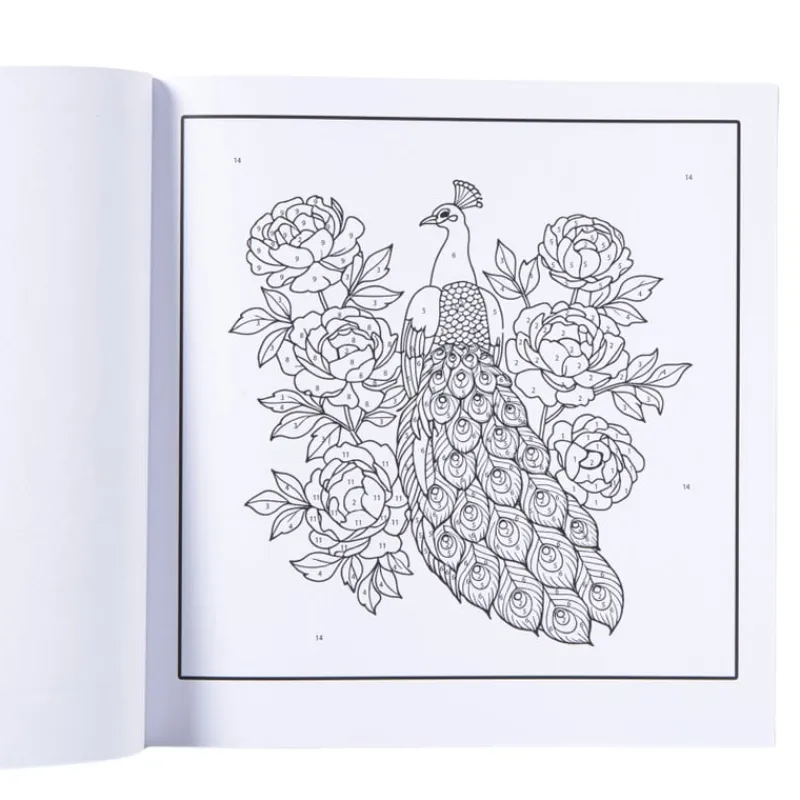 Xenos Kleurboeken-Kleurboek op nummer dieren - 20x20 cm