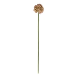 Xenos Kunstbloemen-Kunstbloem allium - diverse varianten - 50 cm