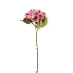 Xenos Kunstbloemen-Kunstbloem hortensia - lichtroze - 63 cm