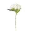 Xenos Kunstbloemen-Kunstbloem hortensia - wit - 63 cm