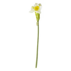 Xenos Kunstbloemen-Kunstbloem narcis - diverse varianten - 31 cm
