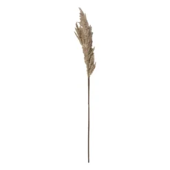Xenos Kerstcadeaus|Kunstbloemen-Kunstbloem pampas tak - 81 cm - diverse kleuren
