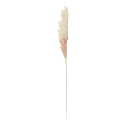 Xenos Kerstcadeaus|Kunstbloemen-Kunstbloem pampas tak - 81 cm - diverse kleuren