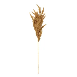 Xenos Kunstbloemen-Kunstbloem pampas tak - 80 cm - diverse kleuren