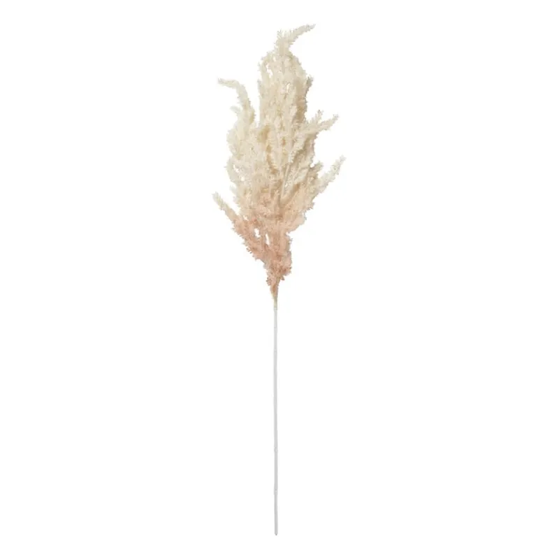 Xenos Kunstbloemen-Kunstbloem pampas tak - 80 cm - diverse kleuren