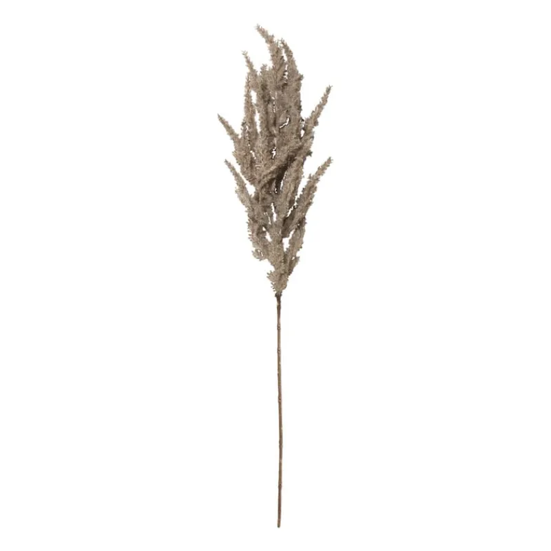 Xenos Kunstbloemen-Kunstbloem pampas tak - 80 cm - diverse kleuren