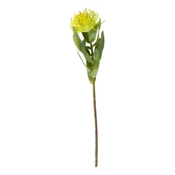 Xenos Kunstbloemen-Kunstbloem speldenkussen - groen - 48 cm