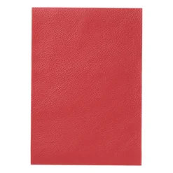 Xenos Knutselspullen-Kunstleer sheets - pu - set van 5