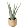 Xenos Kunstplanten-Kunstplant aloe vera - 33 cm