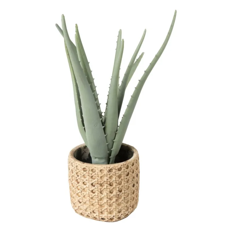 Xenos Kunstplanten-Kunstplant aloe vera - 33 cm
