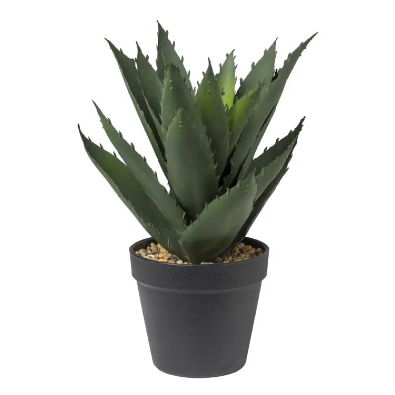 Xenos Kunstplanten-Kunstplant aloe vera - 28 cm