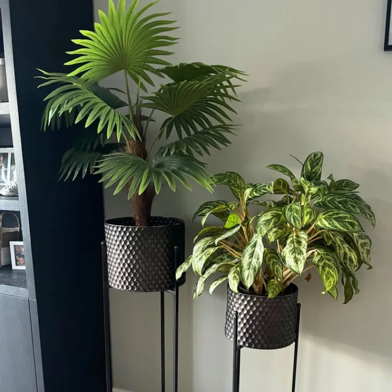 Xenos Kunstplanten-Kunstplant Chinese waaierpalm - 90 cm