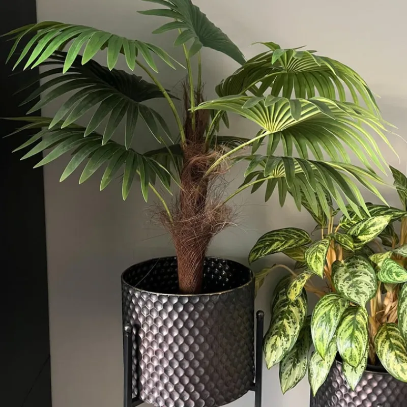Xenos Kunstplanten-Kunstplant Chinese waaierpalm - 90 cm