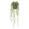 Xenos Kunstplanten-Kunstplant erwtenplantje in pot - groen/zwart - 53 cm