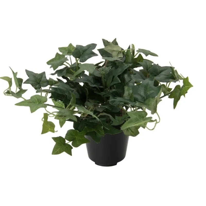 Xenos Kunstplanten-Kunstplant klimop - ø9 cm