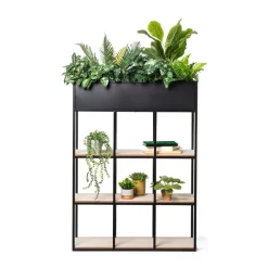 Xenos Kunstplanten-Kunstplant klimop - ø9 cm