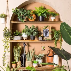 Xenos Kunstplanten-Kunstplant klimop - ø9 cm