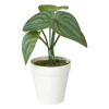 Xenos Kunstplanten-Kunstplant mini syngonium - 13 cm
