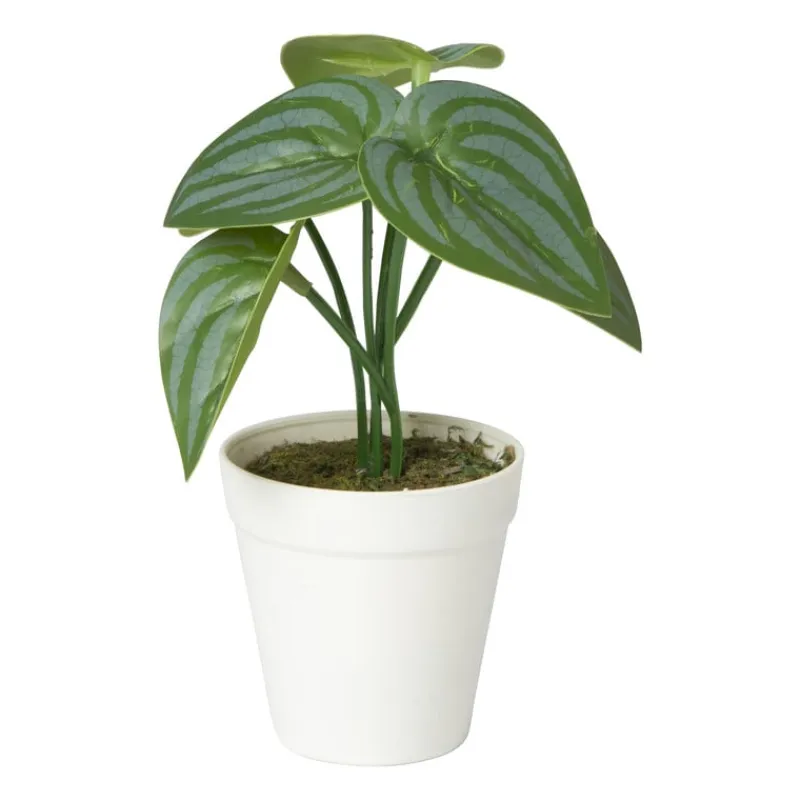 Xenos Kunstplanten-Kunstplant mini syngonium - 13 cm