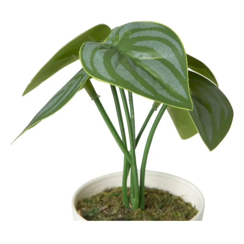 Xenos Kunstplanten-Kunstplant mini syngonium - 13 cm