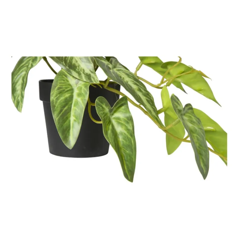 Xenos Kunstplanten-Kunstplant syngonium - 17 cm